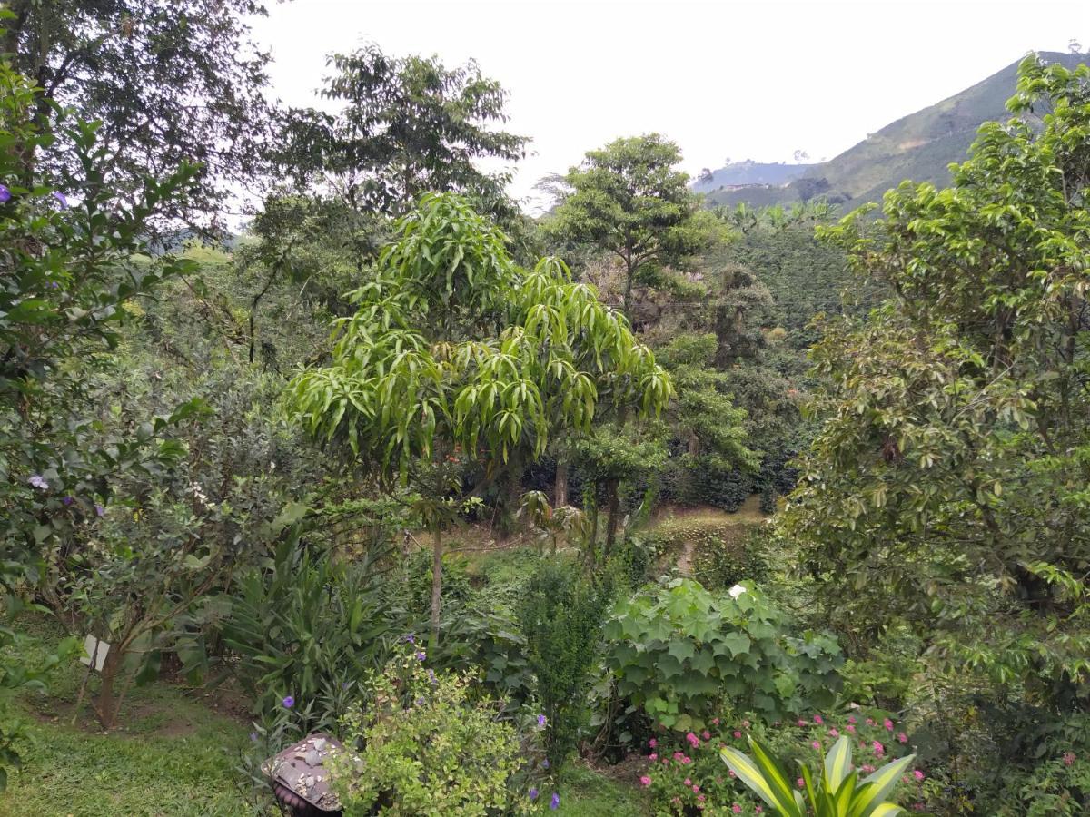 Hacienda Guayabal Villa Chinchiná Eksteriør bilde